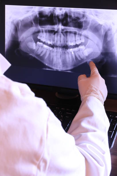 Best Emergency X-Rays and Diagnostics in North Belle Vernon, PA